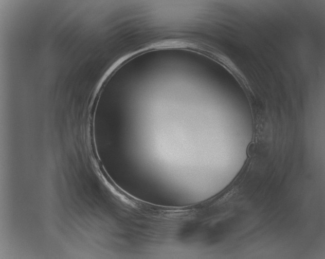 X0000052611484200507011214