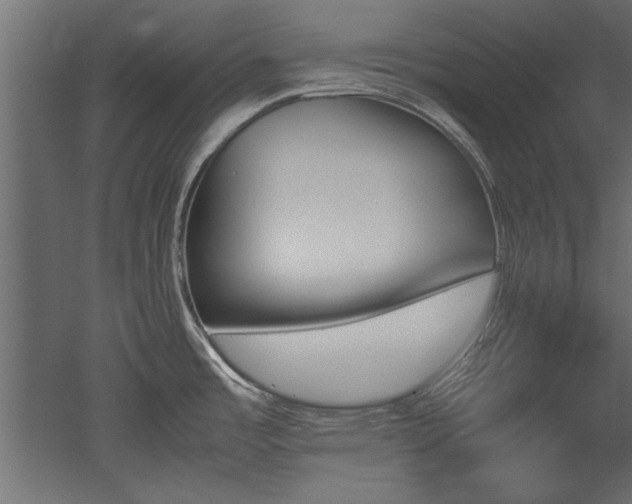 X0000052611485200507011214