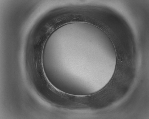 X0000052611487200507011214