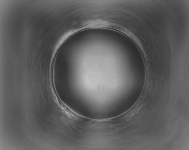 X0000052611488200507011214