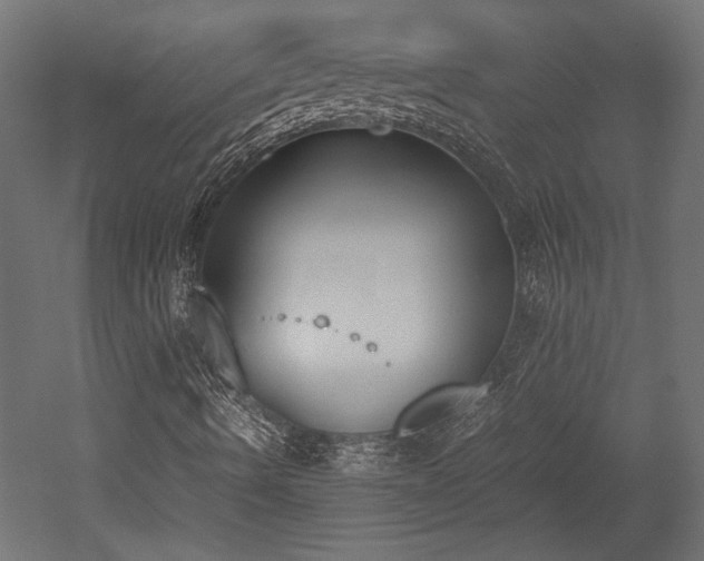 X0000052611490200507011213