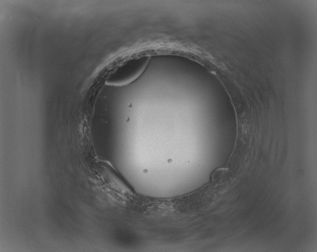 X0000052611495200507011213