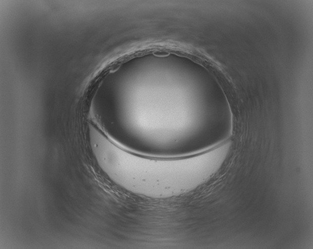 X0000052611496200507011213