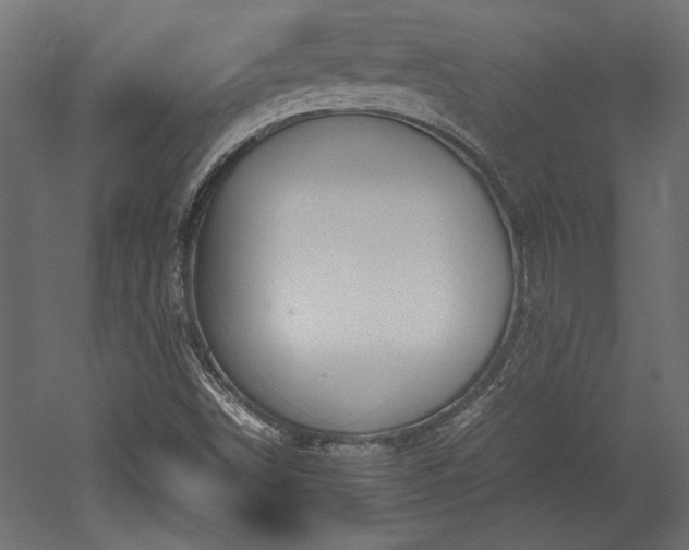 X0000052611498200507011213