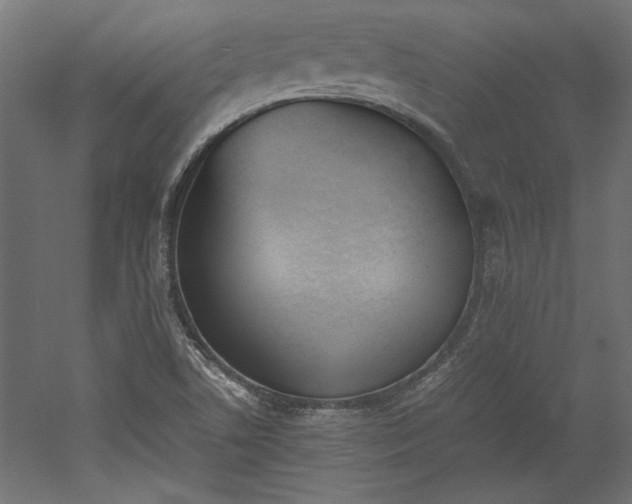 X0000052611506200507011213