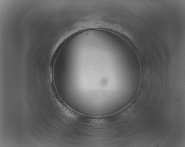 X0000052611509200507011213