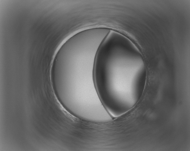 X0000052611516200507011214