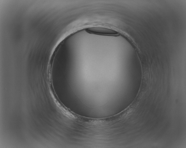 X0000052611522200507011214