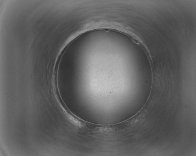 X0000052611525200507011214