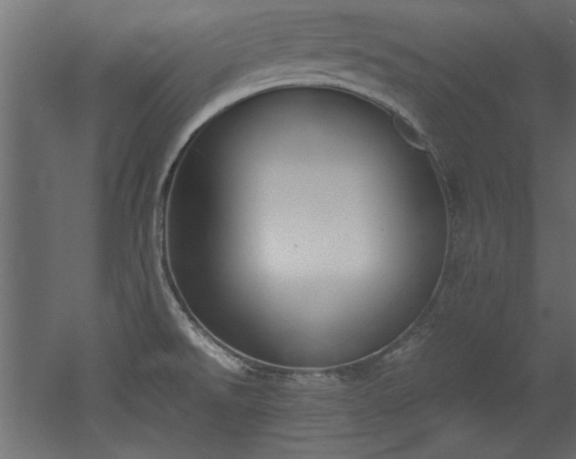 X0000052611526200507011214