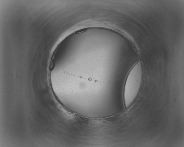 X0000052611528200507011214