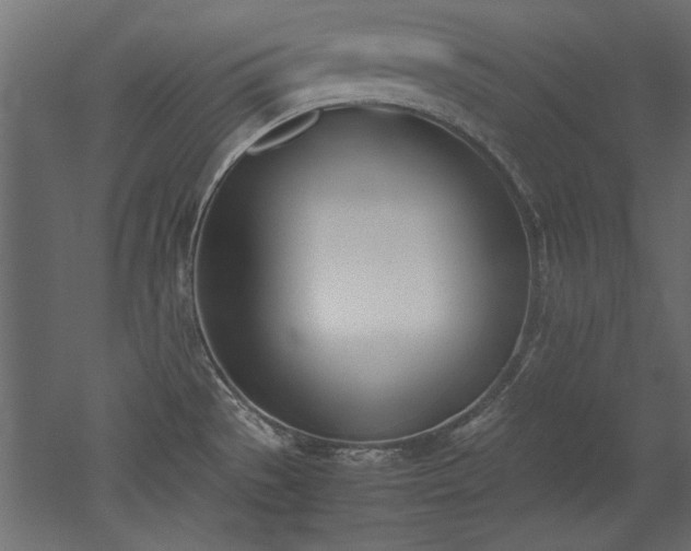 X0000052611529200507011214