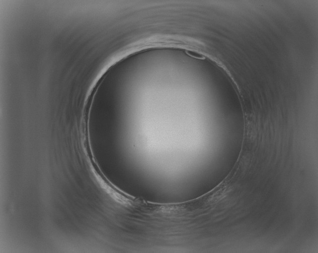 X0000052611531200507011214