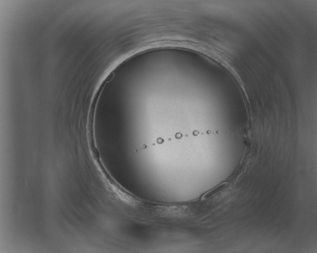 X0000052611533200507011214