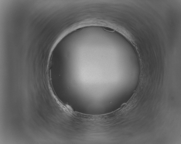 X0000052611536200507011214