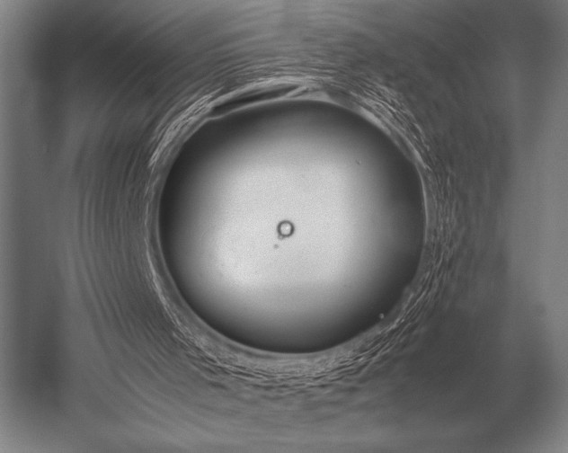 X0000052610001200507081858