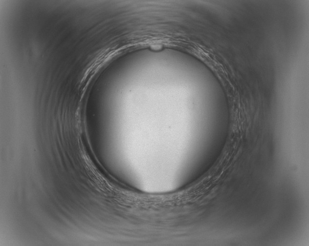 X0000052610002200507081858