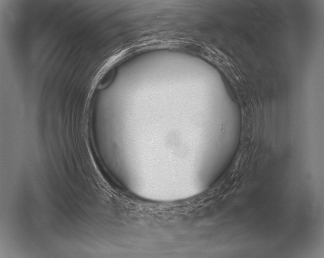 X0000052610003200507081858