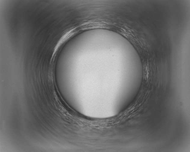 X0000052610004200507081858