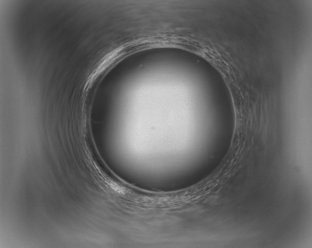 X0000052610005200507081858