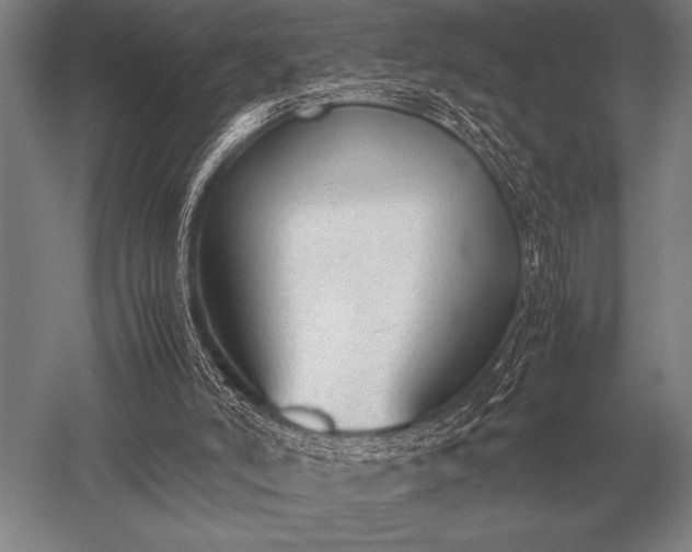 X0000052610006200507081858