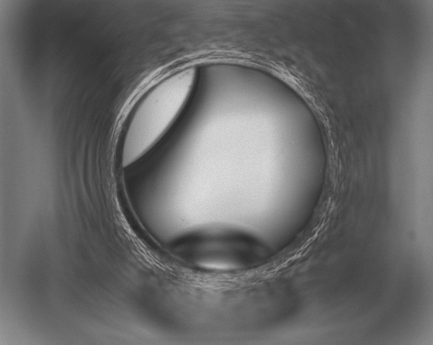 X0000052610007200507081858