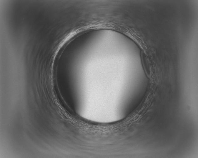 X0000052610008200507081858