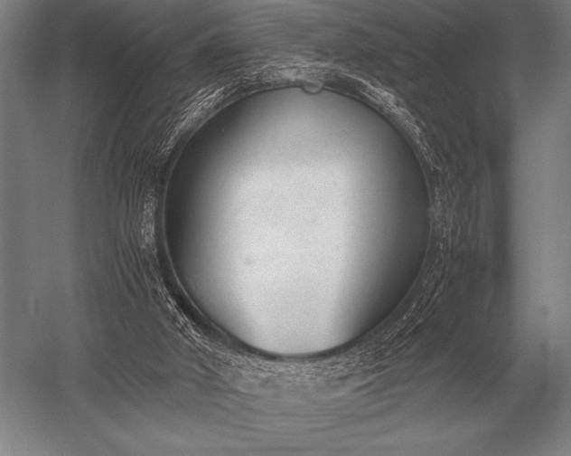 X0000052610010200507081858