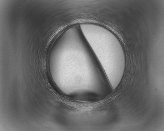 X0000052610015200507081858