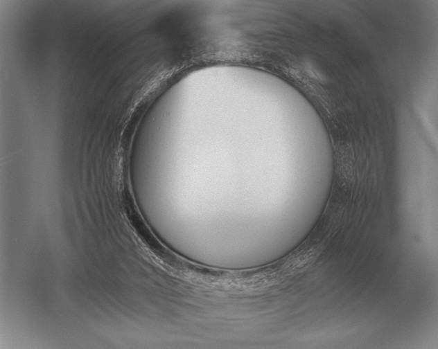 X0000052610016200507081858