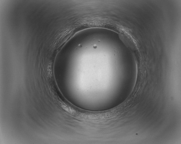 X0000052610017200507081858