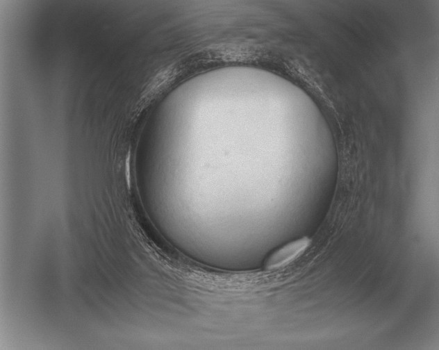 X0000052610019200507081858