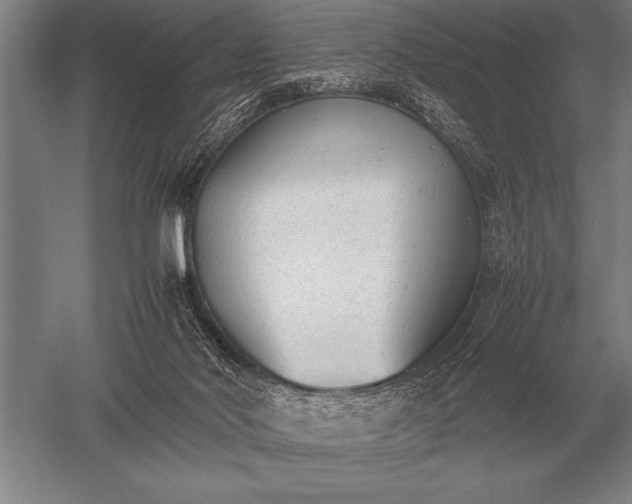 X0000052610022200507081858