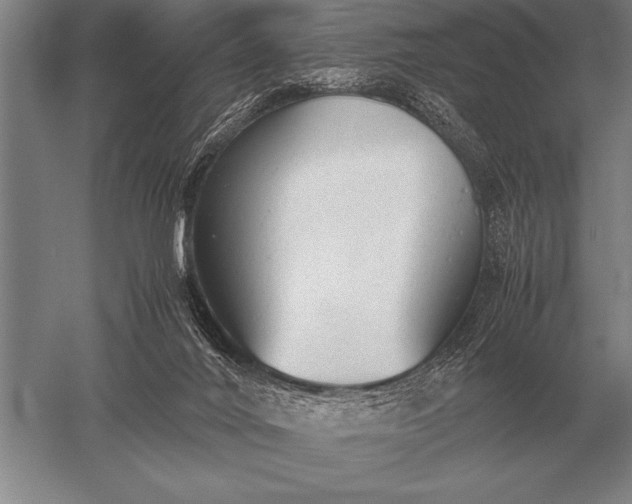 X0000052610024200507081858