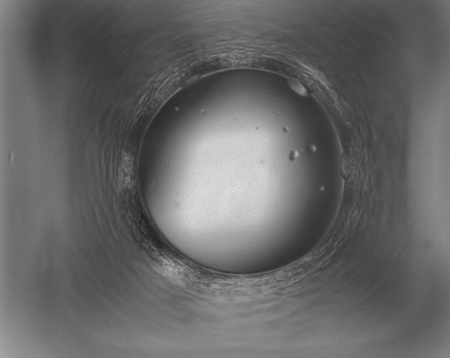 X0000052610025200507081858