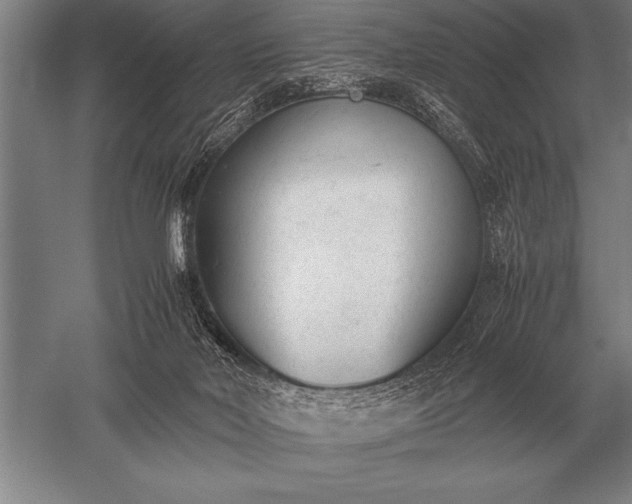 X0000052610026200507081858