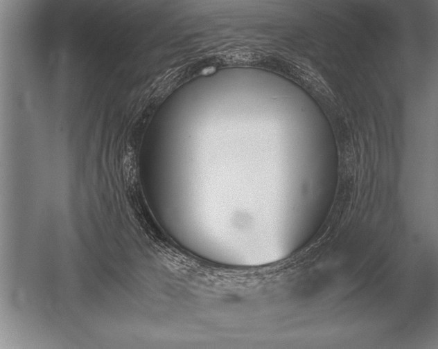 X0000052610029200507081858