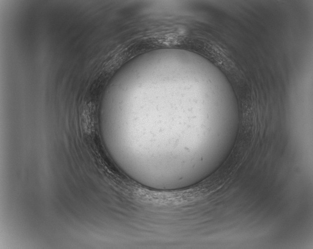 X0000052610030200507081858