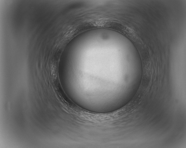 X0000052610031200507081858