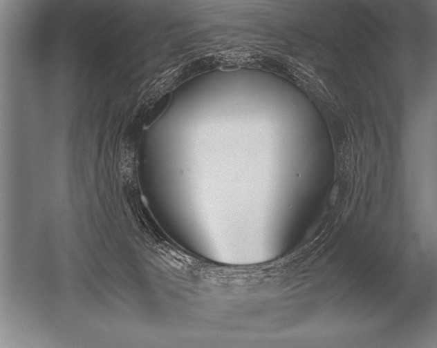 X0000052610033200507081858