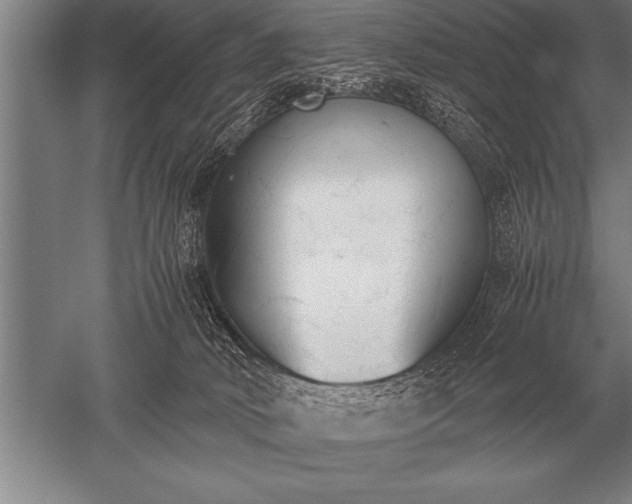 X0000052610034200507081858