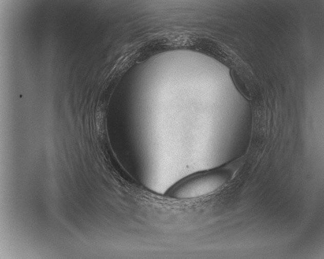 X0000052610035200507081858