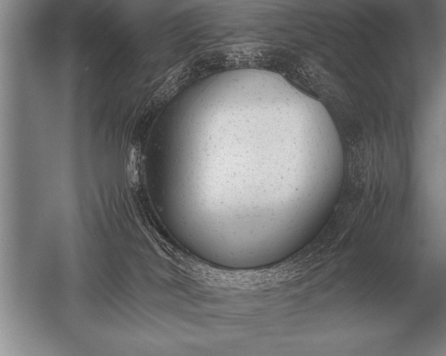 X0000052610038200507081858