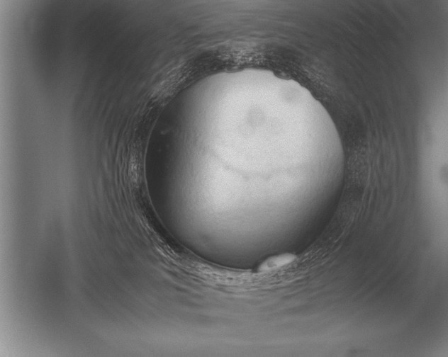 X0000052610039200507081858