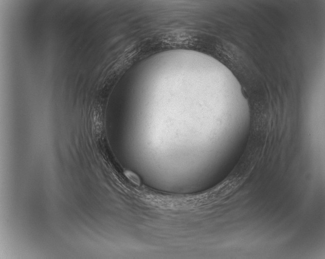 X0000052610040200507081858