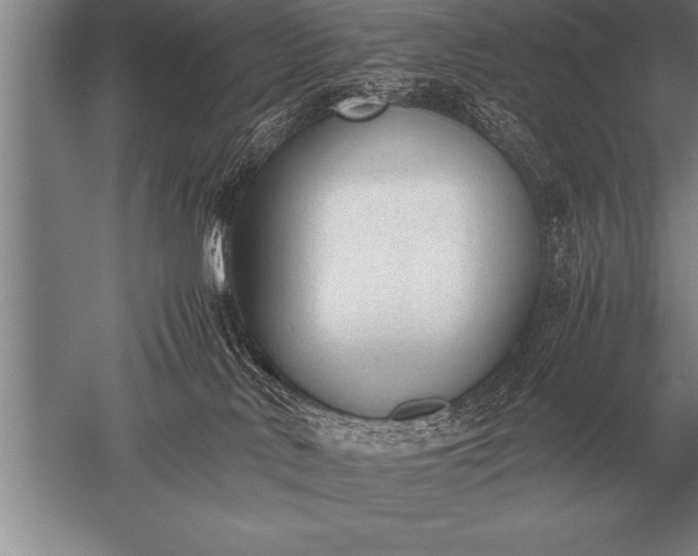 X0000052610042200507081858