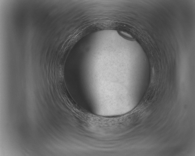 X0000052610048200507081858