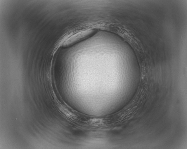 X0000052610052200507081857