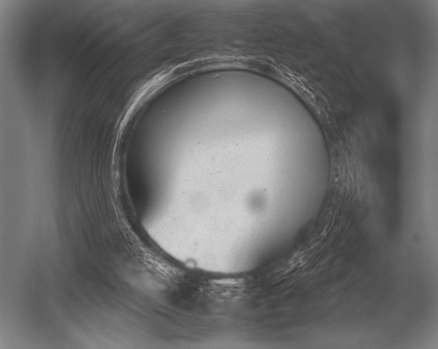 X0000052610053200507081857