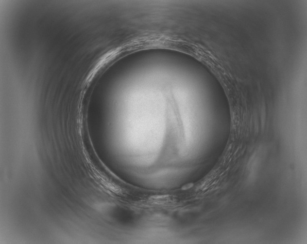 X0000052610054200507081857